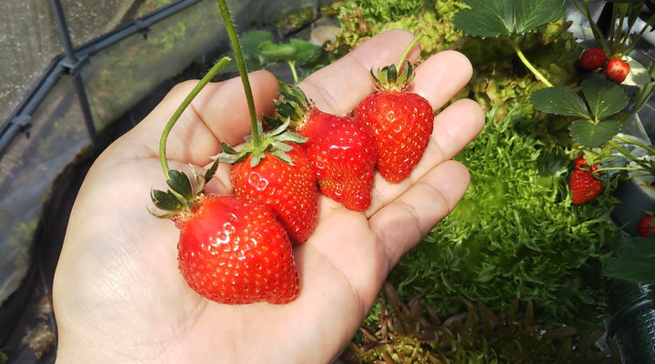 2023y04m16d_213950950_2