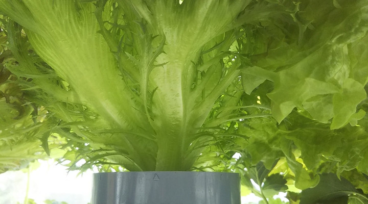 2023y04m16d_214522263