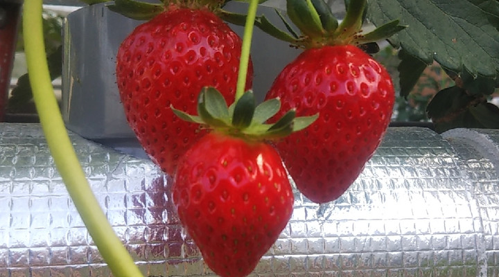 2023y04m28d_210321805