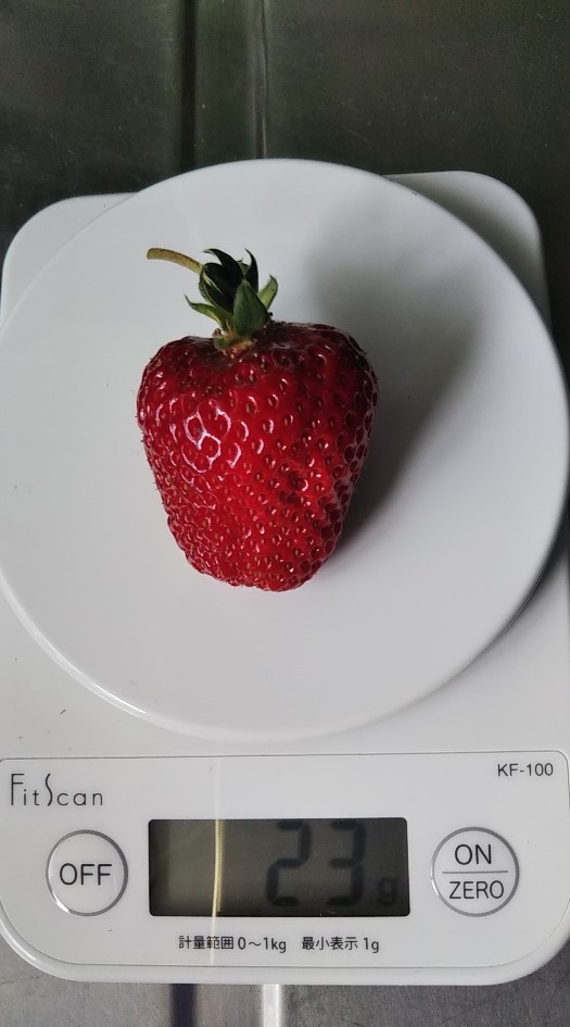 2023y04m28d_210544685