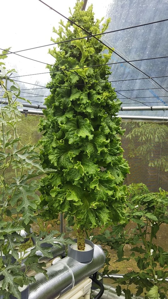 2023y05m07d_000817396