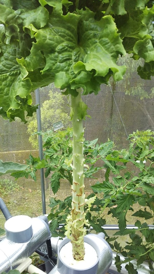 2023y05m07d_001129716