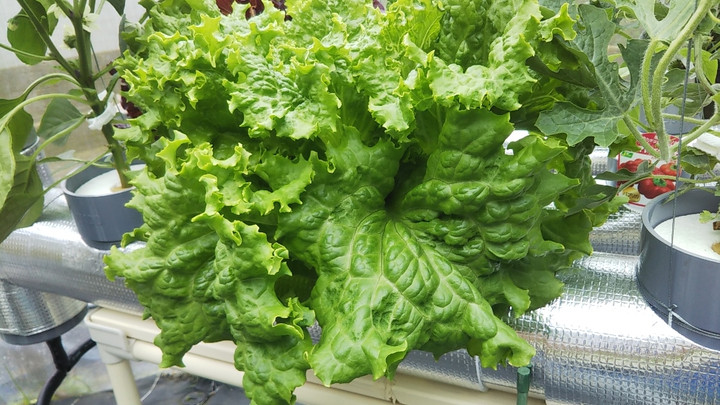 2023y05m07d_001757691