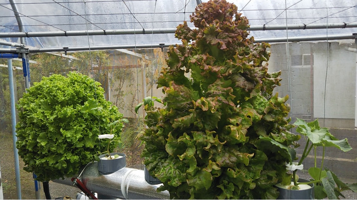 2023y05m07d_002841819