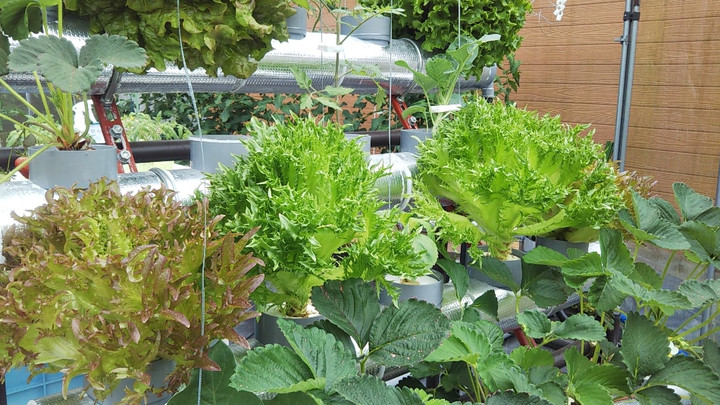 2023y05m07d_003103534