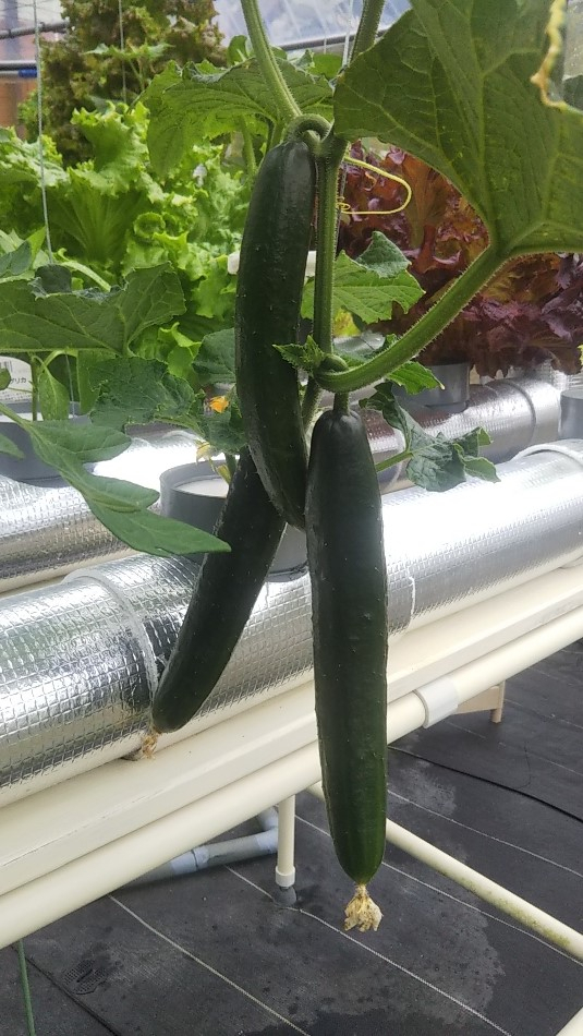 2023y05m07d_003646849