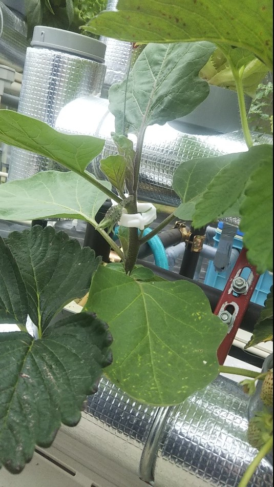 2023y05m07d_004056681