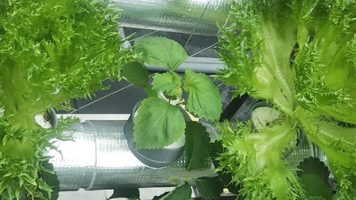 2023y05m07d_004340381