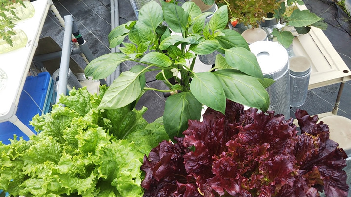 2023y05m07d_004647513