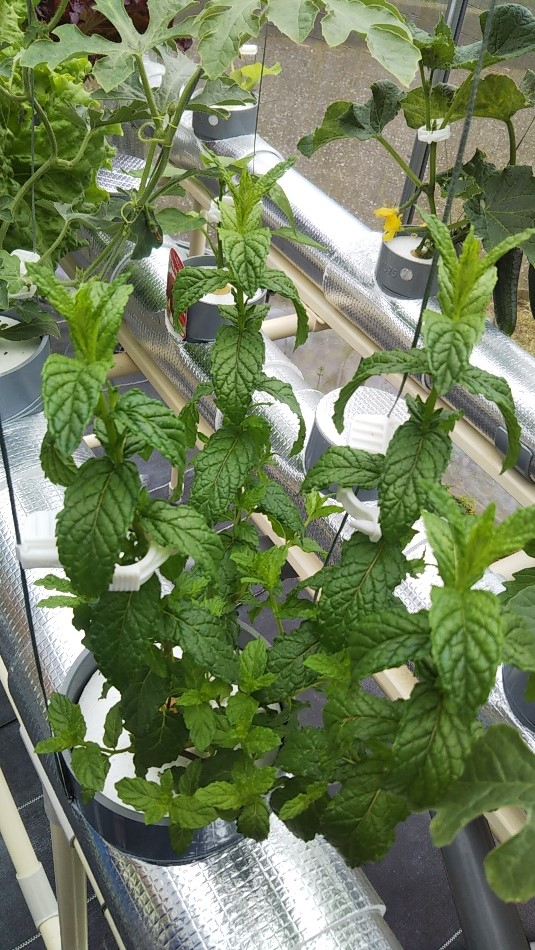 2023y05m07d_004833113