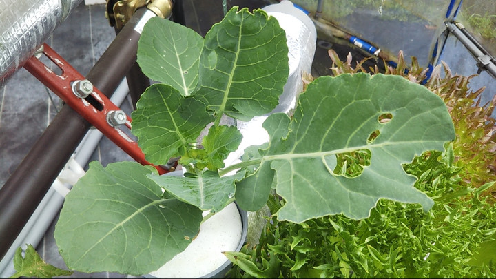 2023y05m07d_005145078