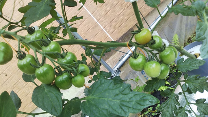 2023y05m07d_005416209