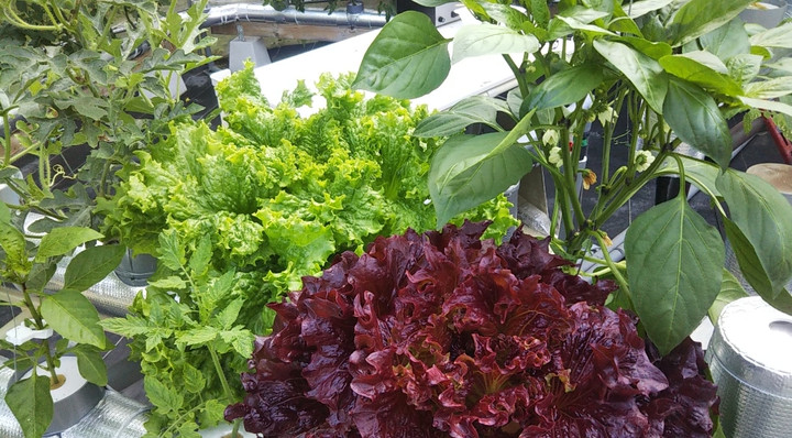 2023y05m15d_222414445