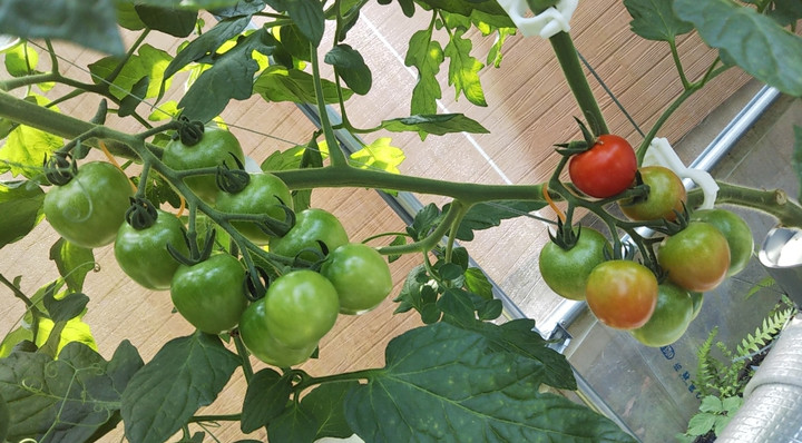 2023y05m15d_224346571