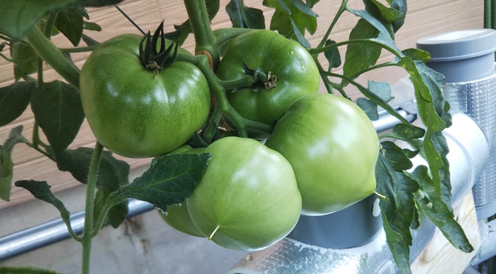 2023y05m15d_224352641