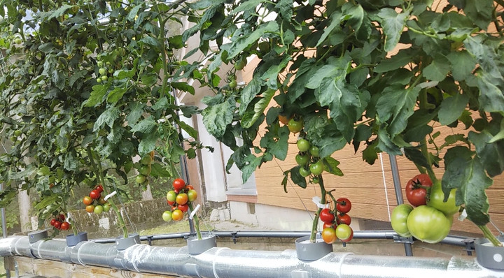 2023y05m25d_144455871