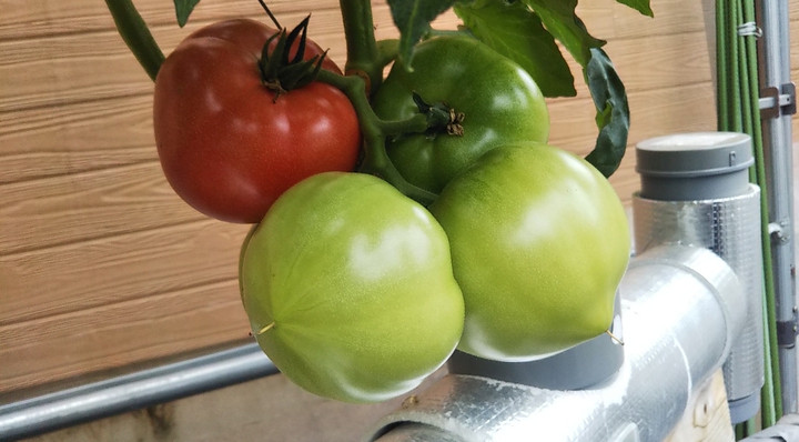 2023y05m25d_144527131