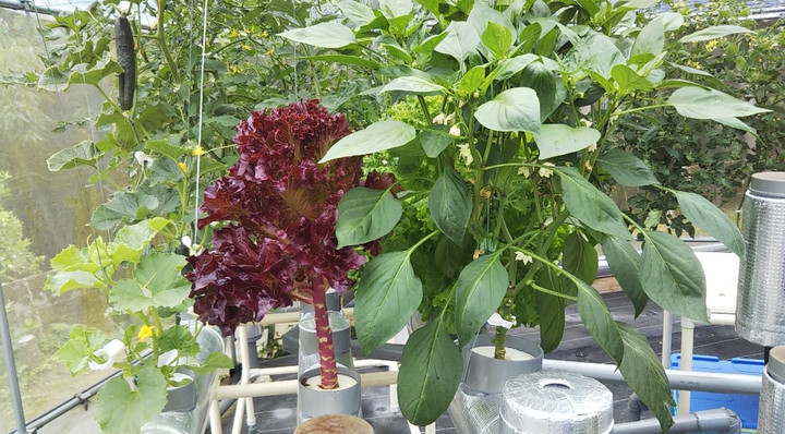 2023y05m25d_150233100