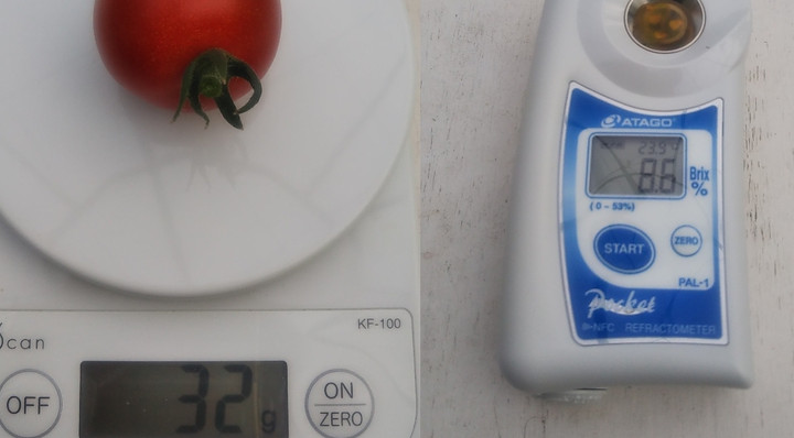 2023y05m25d_224650655