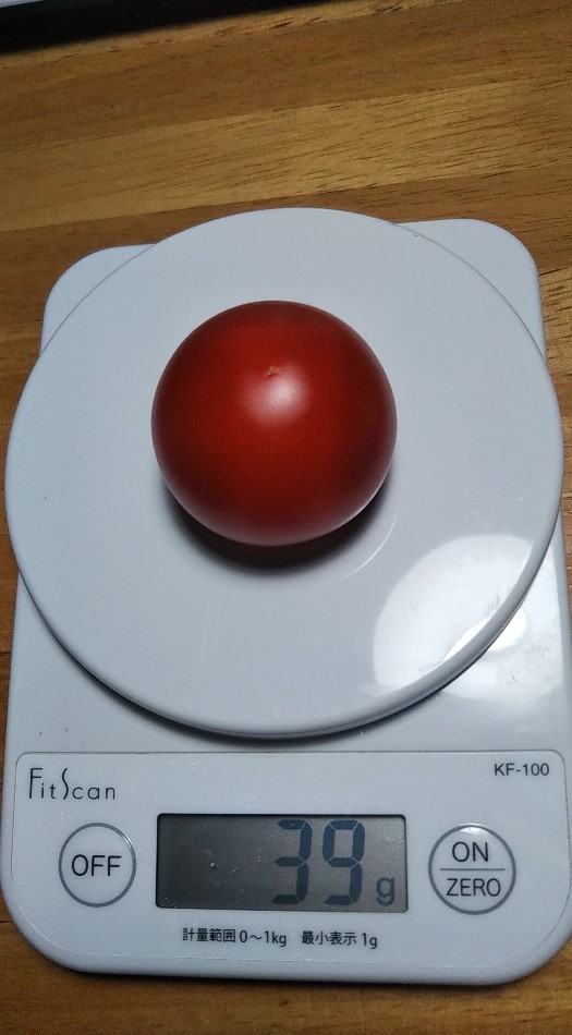 2023y05m30d_194253626