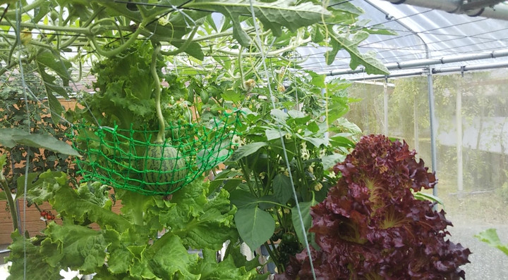 2023y05m30d_194824256