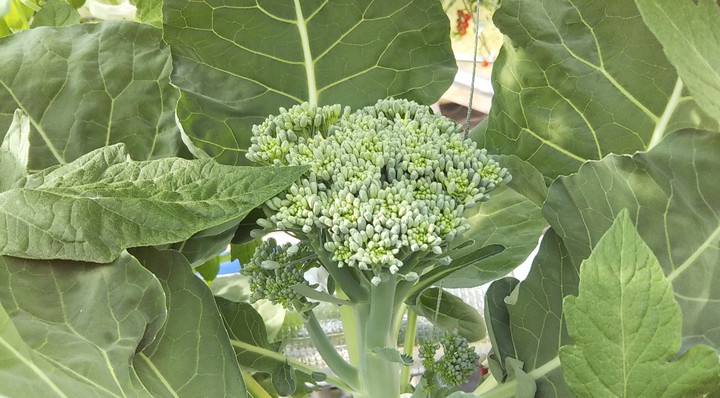 2023y05m30d_195214357