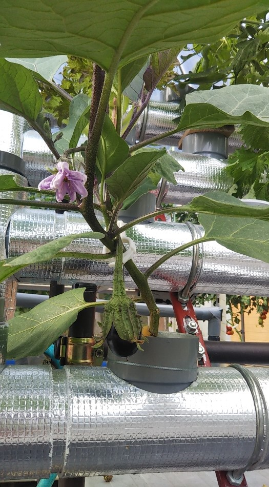 2023y05m30d_195514617