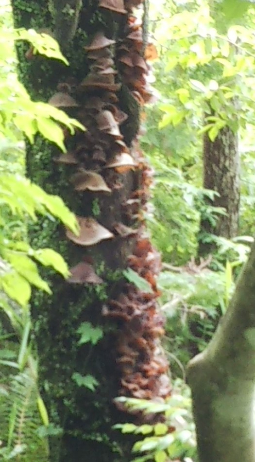 2023y06m14d_232618582