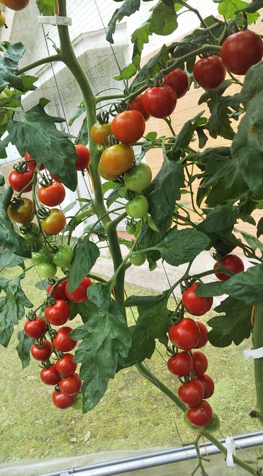 2023y06m14d_233503344