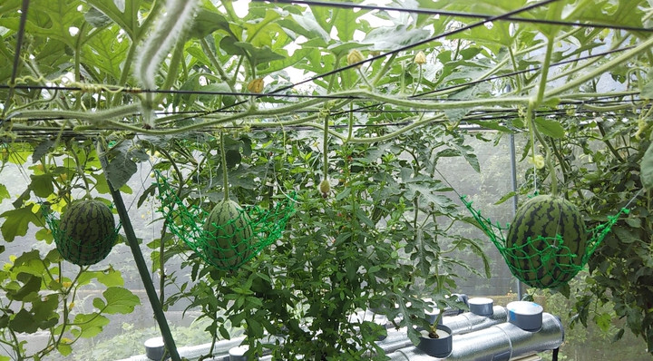 2023y06m14d_233831804