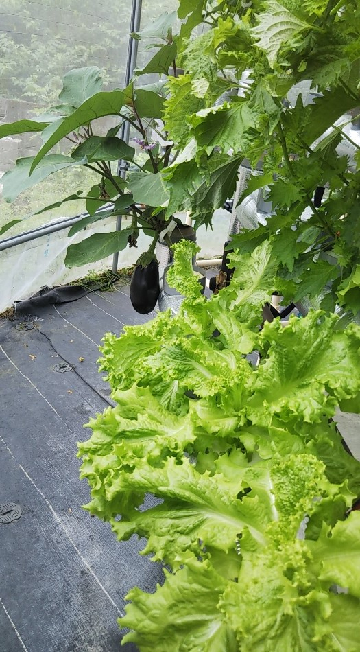 2023y06m14d_233917224