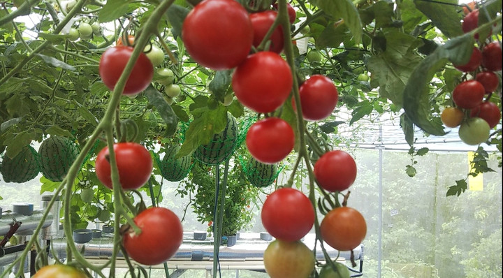 2023y07m01d_212246682