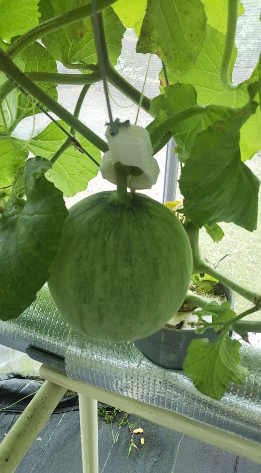 2023y07m01d_212505831