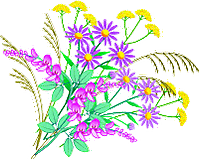 Bd_sion10