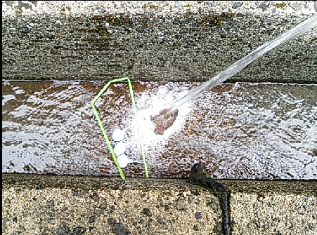 Photo_4
