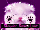 847245b5sd3jp6co