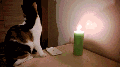 Gifcatcandle965903