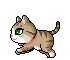 Cat18