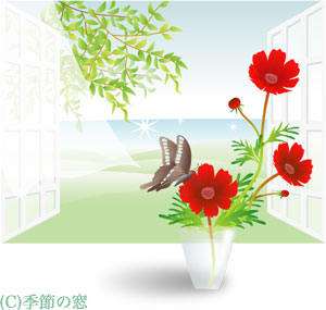 Cut01