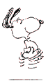 17475254