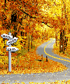 Pct02