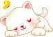 Cat49